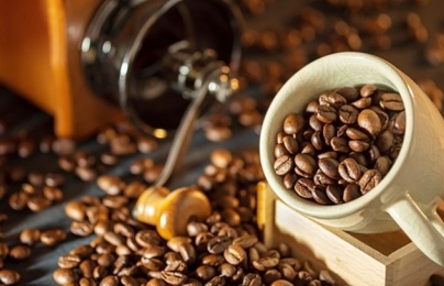 Giá cà phê hôm nay 22/9/2023: Giảm mạnh, về ngưỡng 67.000 đ/kg