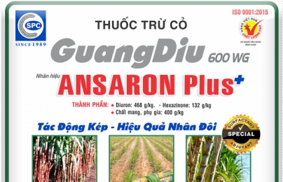 Sản phẩm mới: Guang Diu 600 WG trừ cỏ ruộng mía