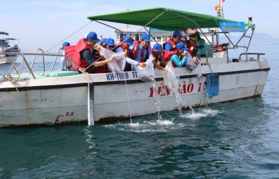Thả hơn 10.000 con cá giống xuống vịnh Nha Trang tái tạo nguồn lợi thủy sản