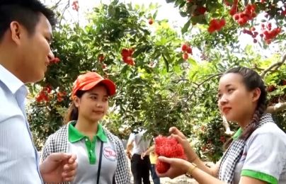 Lễ hội trái cây Long Khánh năm 2023: Mỗi người dân sẽ là một ‘đại sứ truyền thông’