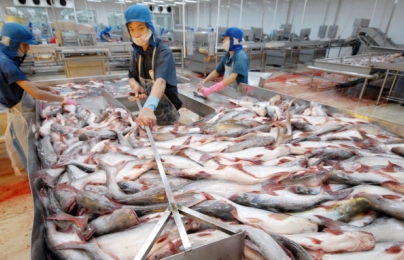 Đề xuất Trung Quốc sớm ký Nghị định thư về xuất nhập khẩu thủy sản