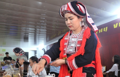 Thưởng thức trà chè shan tuyết Hà Giang tại Thủ đô