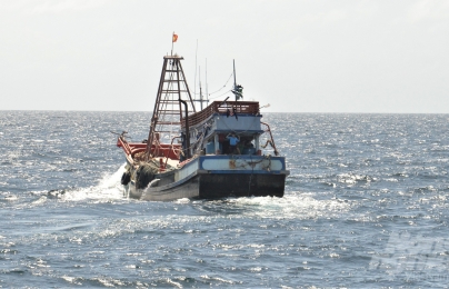 Hơn 1.000 tàu cá thuộc diện mất tích sẽ bị xóa đăng ký