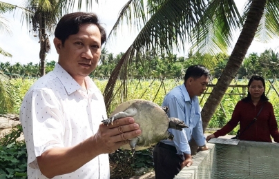 Trà Vinh khởi động dự án hỗ trợ nông dân nuôi cua đinh