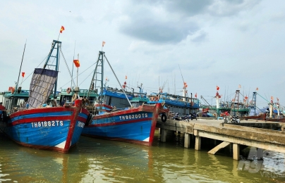85 tàu cá Thanh Hóa có nguy cơ cao vi phạm khai thác IUU