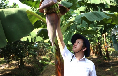 Doanh nhân Phạm Quốc Liêm: ‘Trường trong farm’ lan tỏa vẻ đẹp nông nghiệp