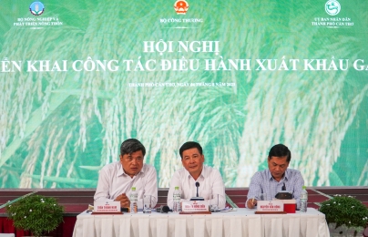 Việt Nam vẫn đảm bảo an ninh lương thực khi nhu cầu xuất khẩu gạo tăng