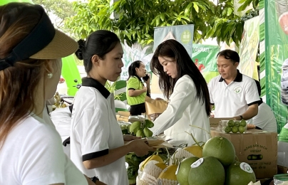 Tìm khách hàng khá giả cho nông sản hữu cơ Ninh Thuận