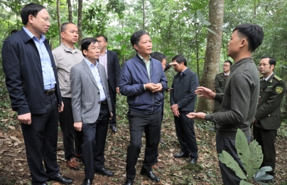 Tăng cường sự lãnh đạo của Đảng đối với quản lý, bảo vệ, phát triển rừng