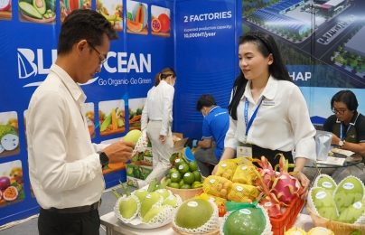 Nhà mua quốc tế tìm kiếm gì ở nông sản Việt