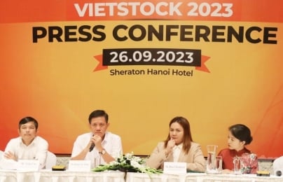 Vietstock 2023 là phiên bản đặc biệt