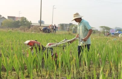 Hải Phòng xác định ba khâu đột phá để nâng cao đời sống nông dân