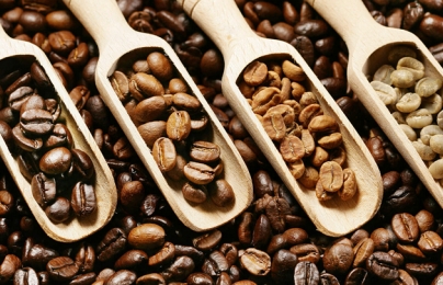 Giá cà phê hôm nay 13/9/2023: Quay đầu giảm nhẹ