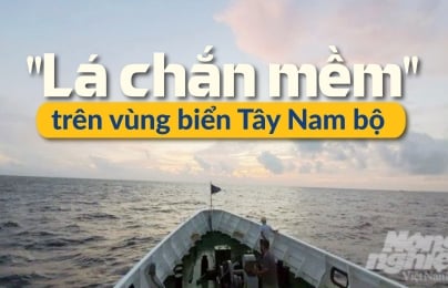 [Bài 5] Ngăn chặn tàu cá vi phạm IUU phải từ trong bờ