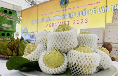 Khai mạc Hội chợ triển lãm Nông nghiệp Quốc tế lần thứ 23 – AgroViet 2023