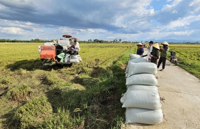 Cần hỗ trợ để ‘kéo’ nông dân sản xuất lúa hè thu