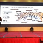 Nâng cao năng lực quản lý hổ nuôi nhốt tại Việt Nam