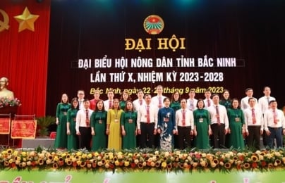 Bà Nguyễn Thị Lệ Tuyết tái cử Chủ tịch Hội Nông dân tỉnh Bắc Ninh